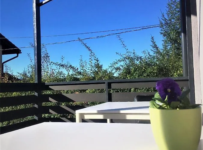 Πανσιόν Water Lily Boutique And 3*