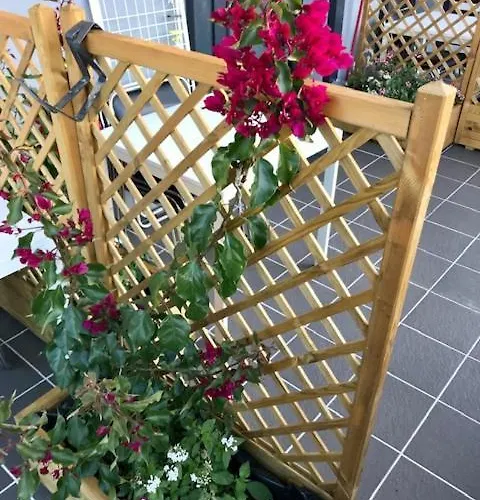 Water Lily Boutique And Πανσιόν Hévíz