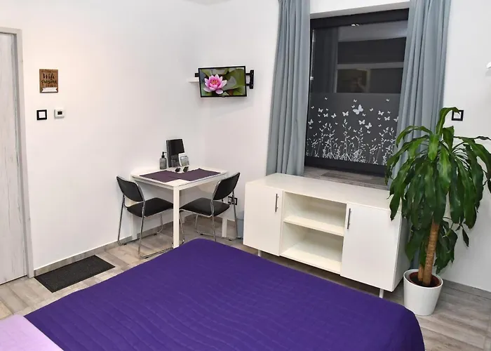 Water Lily Boutique And 3*