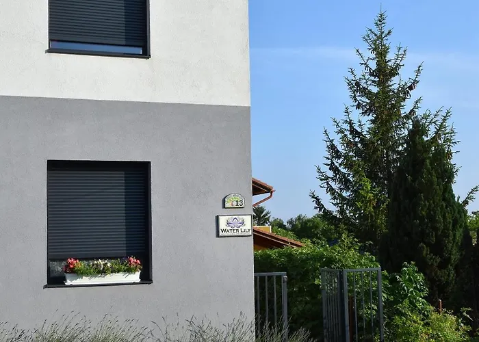 Water Lily Boutique And 3*